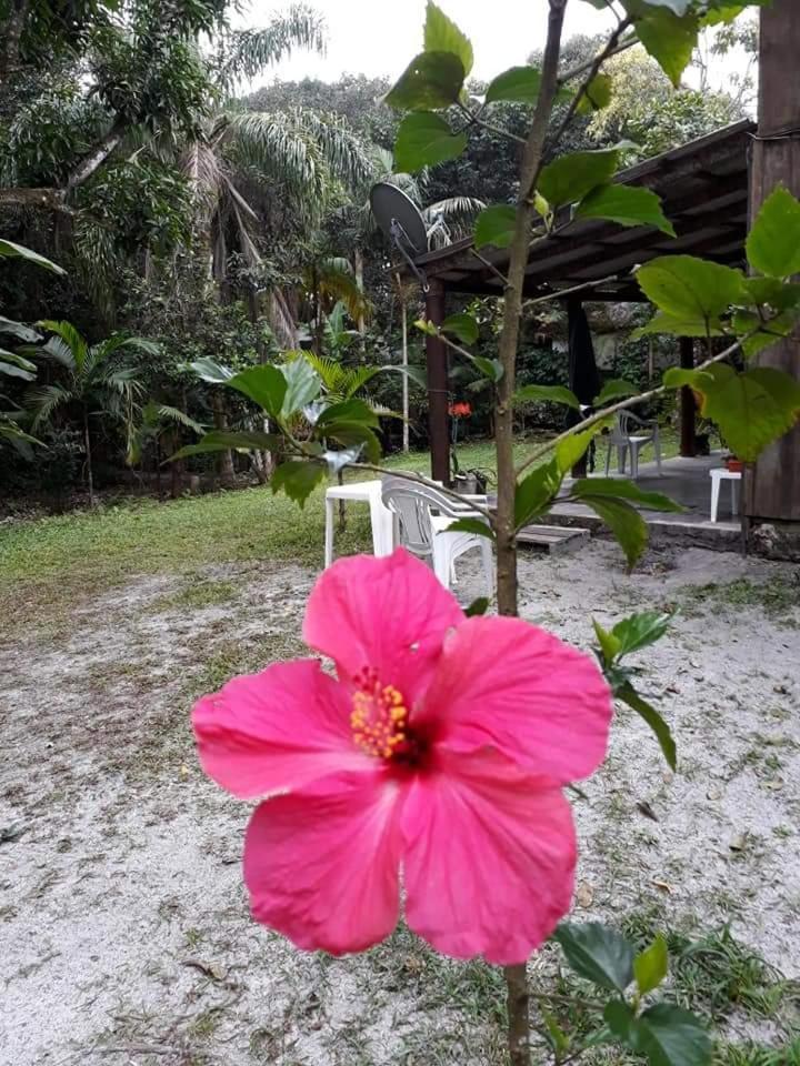 Recanto Da Kaka Hotell Ilha do Mel Eksteriør bilde